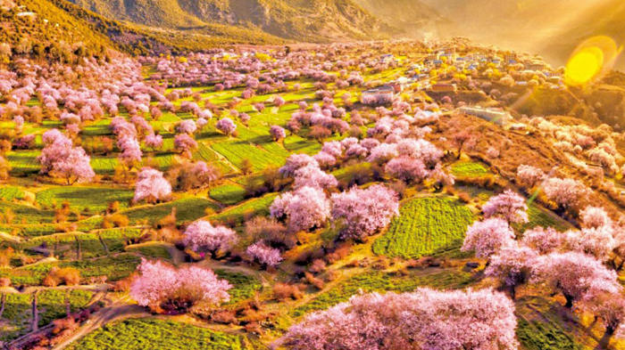 A scenic view of nyingchi peach blossom valley