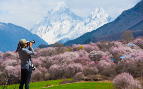 A scenic view of nyingchi peach blossom valley