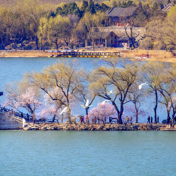 A scenic view of ohelun_summer_palace_site