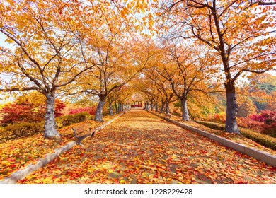 A scenic view of olympic_park