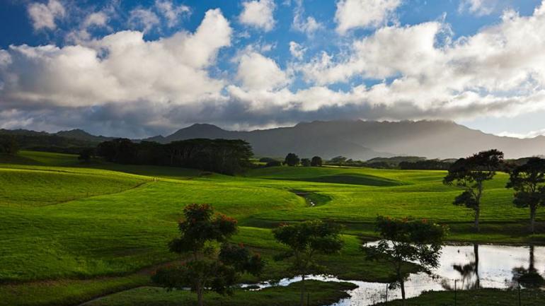 A scenic view of oriental jurassic park