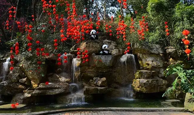 A scenic view of panda research base