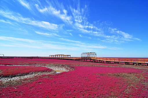 A scenic view of panjin_red_beach