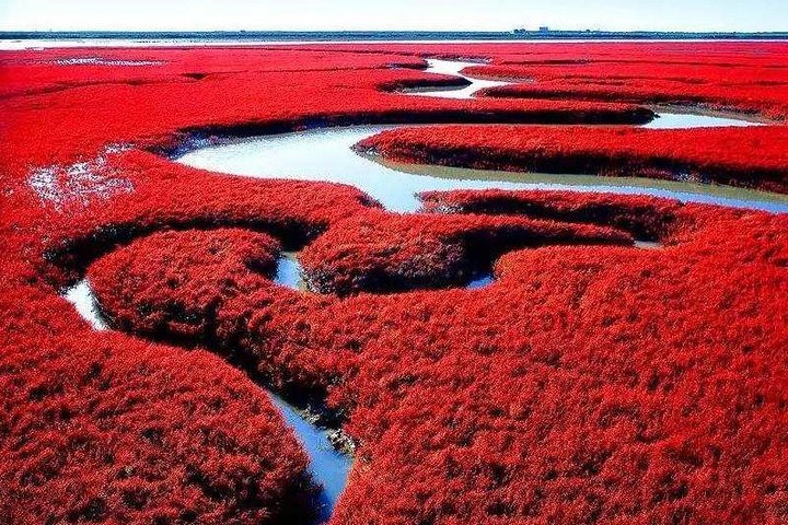 A scenic view of panjin_red_beach