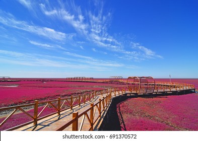 A scenic view of panjin_red_beach
