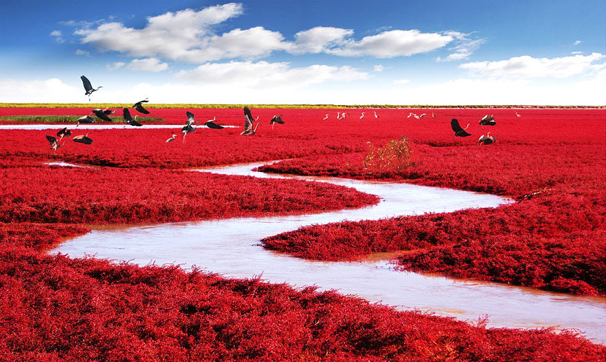 A scenic view of panjin_red_beach