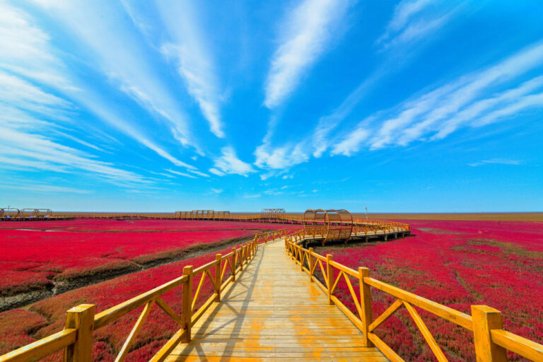 The Ultimate Guide to Visiting Panjin Red Beach: Tips and Highlights