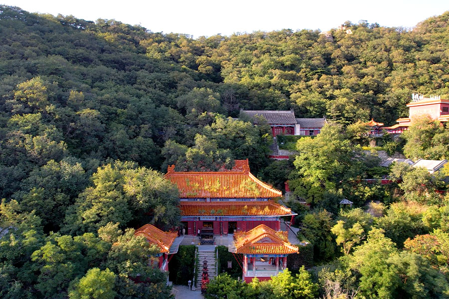 Why Panshan Scenic Area Should Be on Every Traveler’s Bucket List