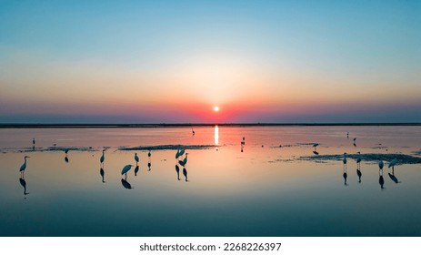 A scenic view of Poyang Lake Migratory Bird Sanctuary