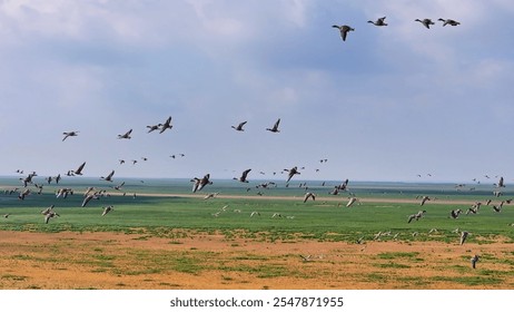 A scenic view of Poyang Lake Migratory Bird Sanctuary