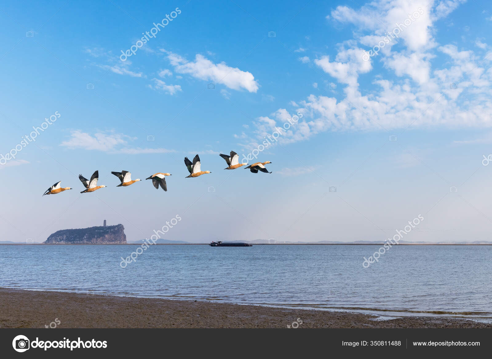 A scenic view of Poyang Lake Migratory Bird Sanctuary