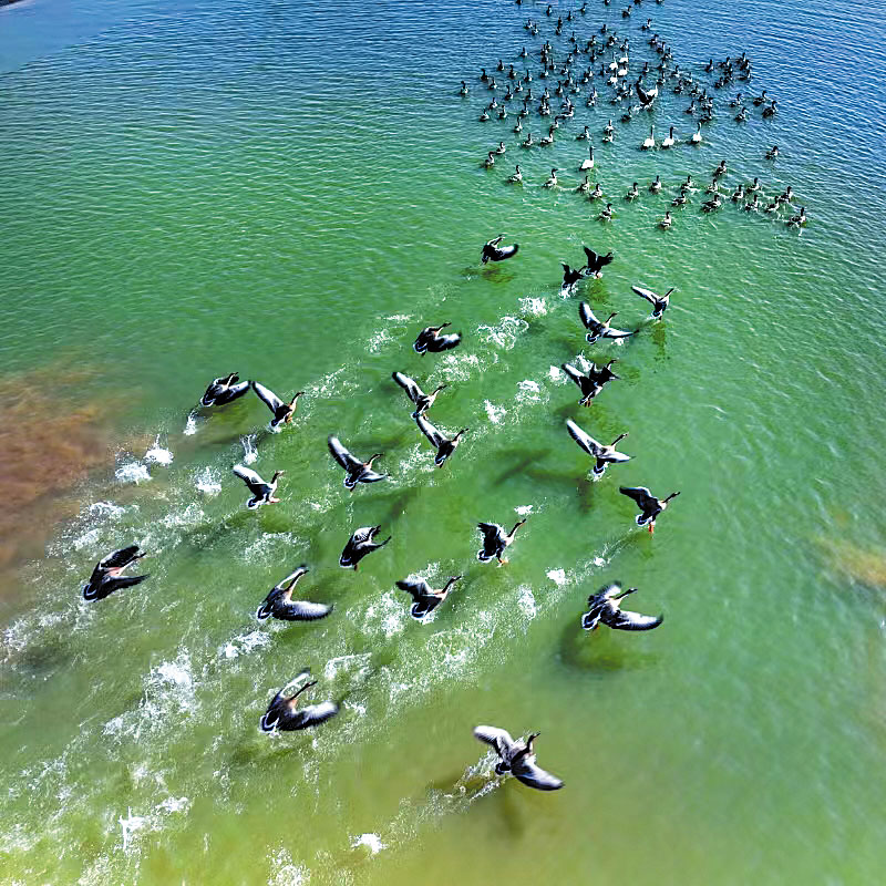 A scenic view of Poyang Lake Migratory Bird Sanctuary