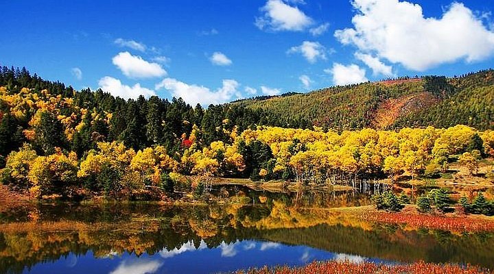 A scenic view of pudacuo national park