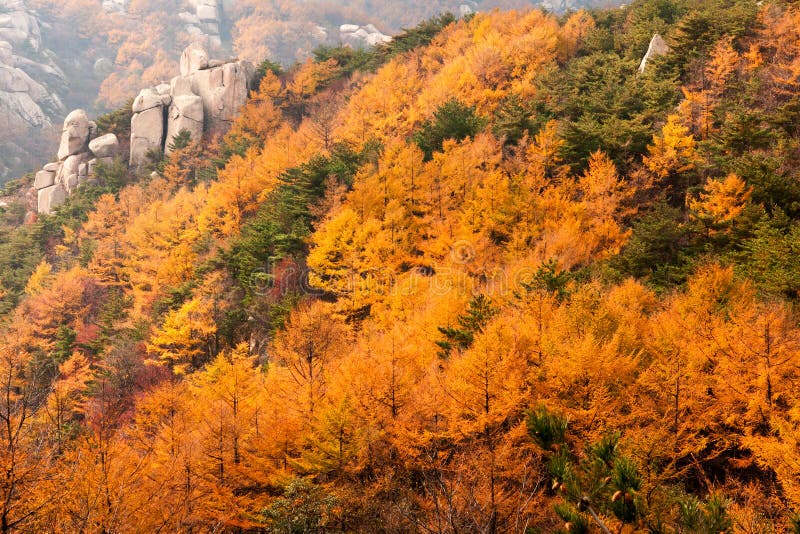 A scenic view of qingdun site