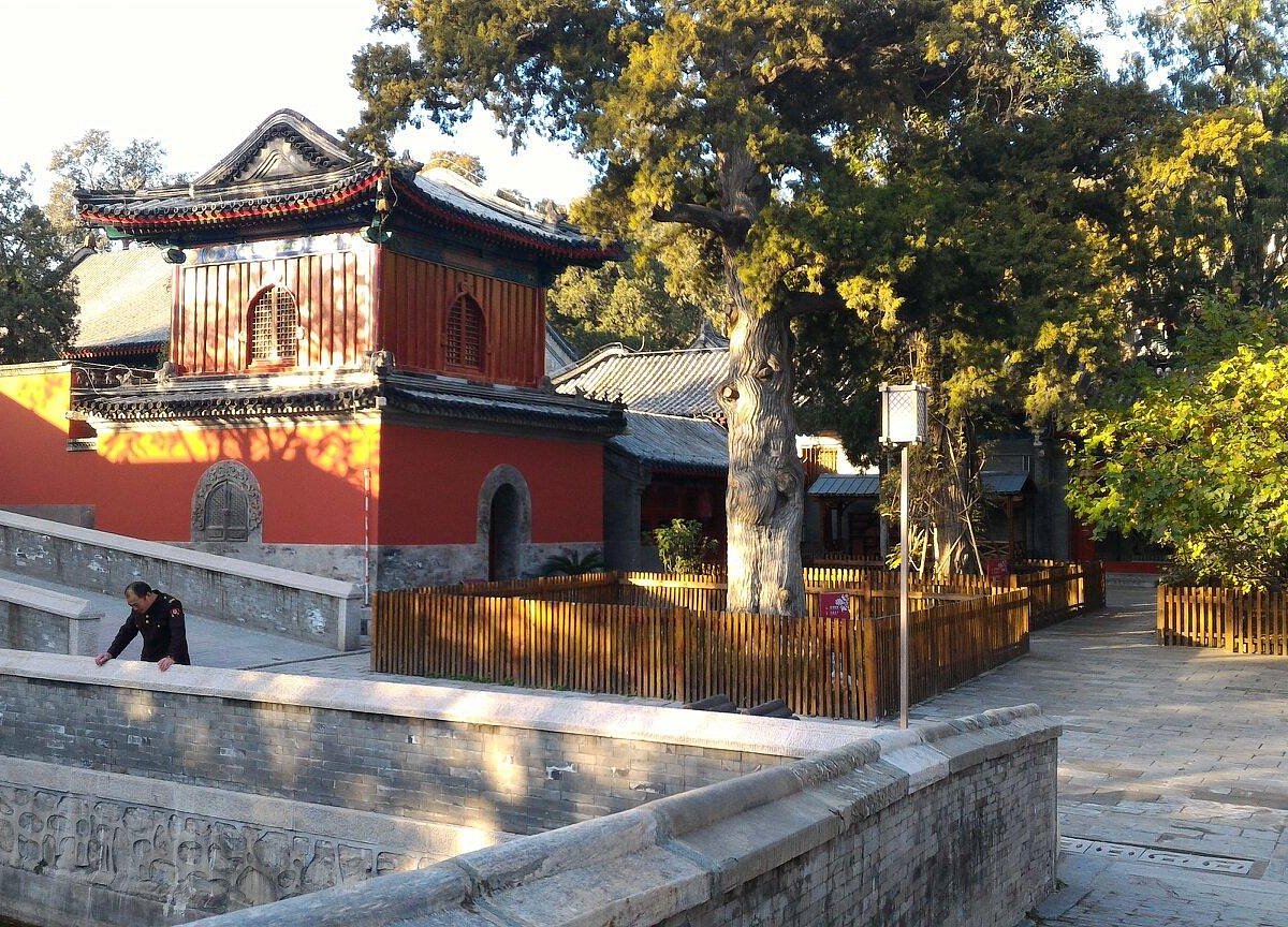 A scenic view of Qinglian Temple