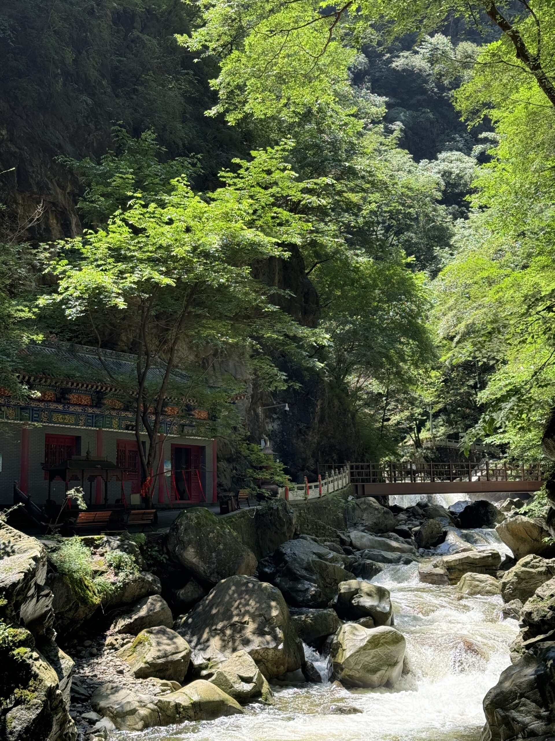 A scenic view of qinling_national_botanical_garden_scenic_area