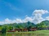 Exploring Qinling National Botanical Garden: China’s Hidden Gem for Botanical Enthusiasts