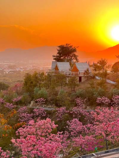 A scenic view of qinling_national_botanical_garden_scenic_area