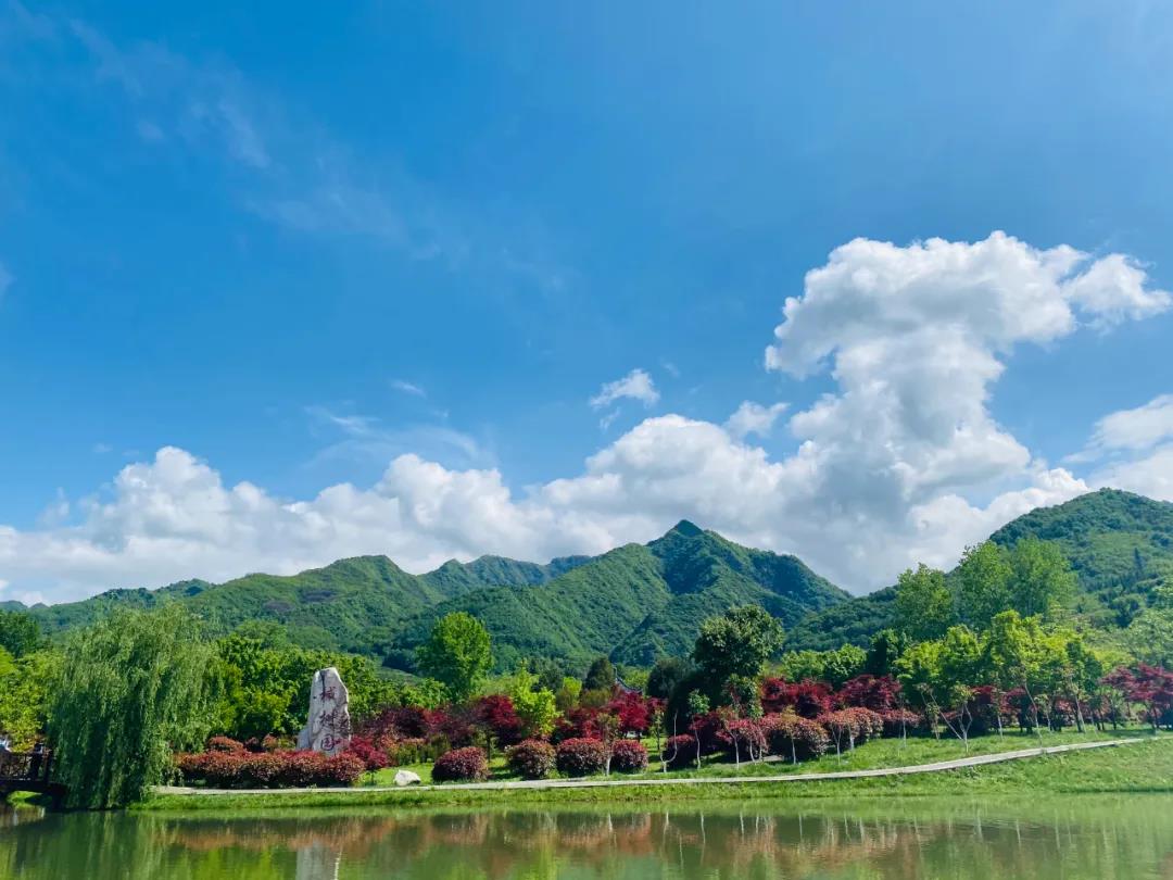 A scenic view of qinling_national_botanical_garden_scenic_area