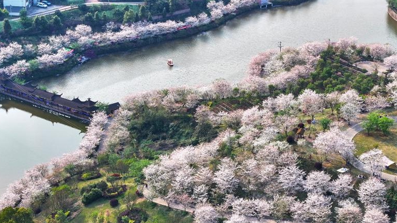 A scenic view of Qujialing Ruins