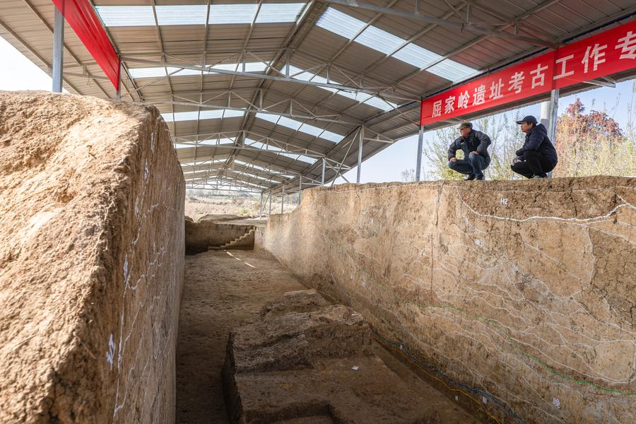 A scenic view of Qujialing Ruins