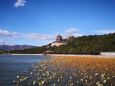 A scenic view of Qujialing Ruins