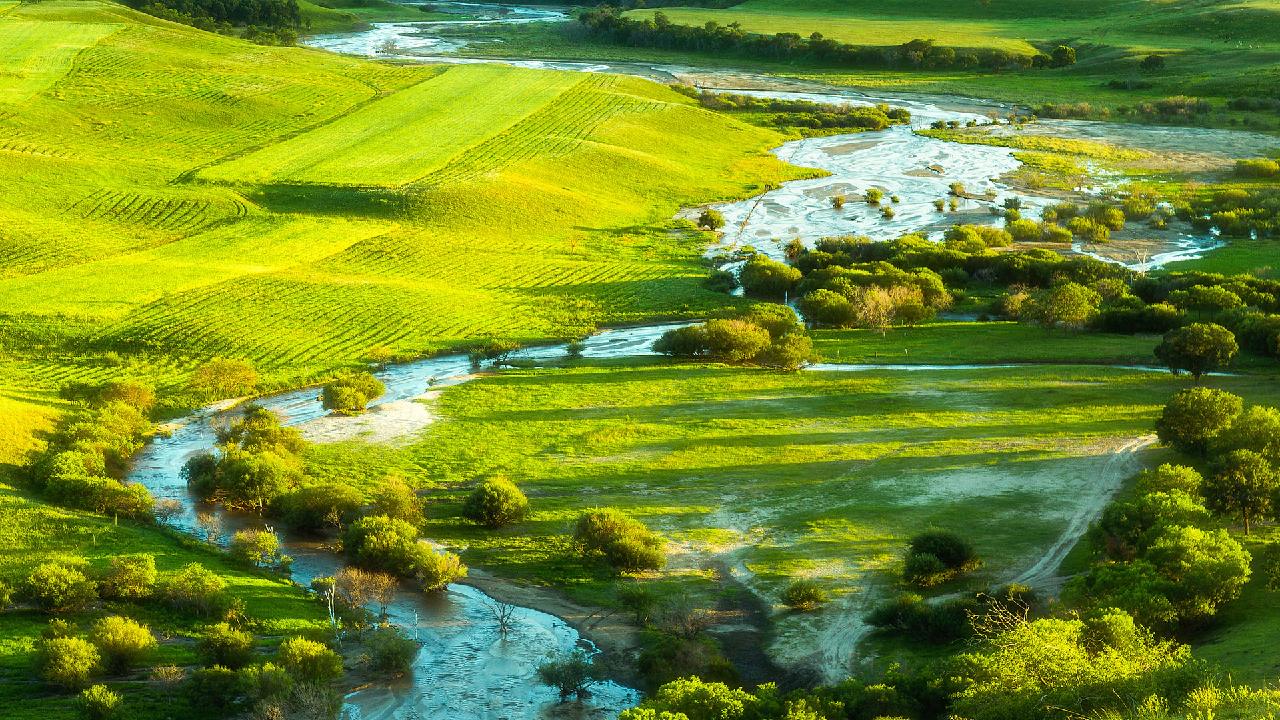 A scenic view of Saihanba National Forest Park
