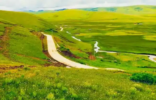 Saihanba National Forest Park: Experience the Best of China’s Breathtaking Landscapes