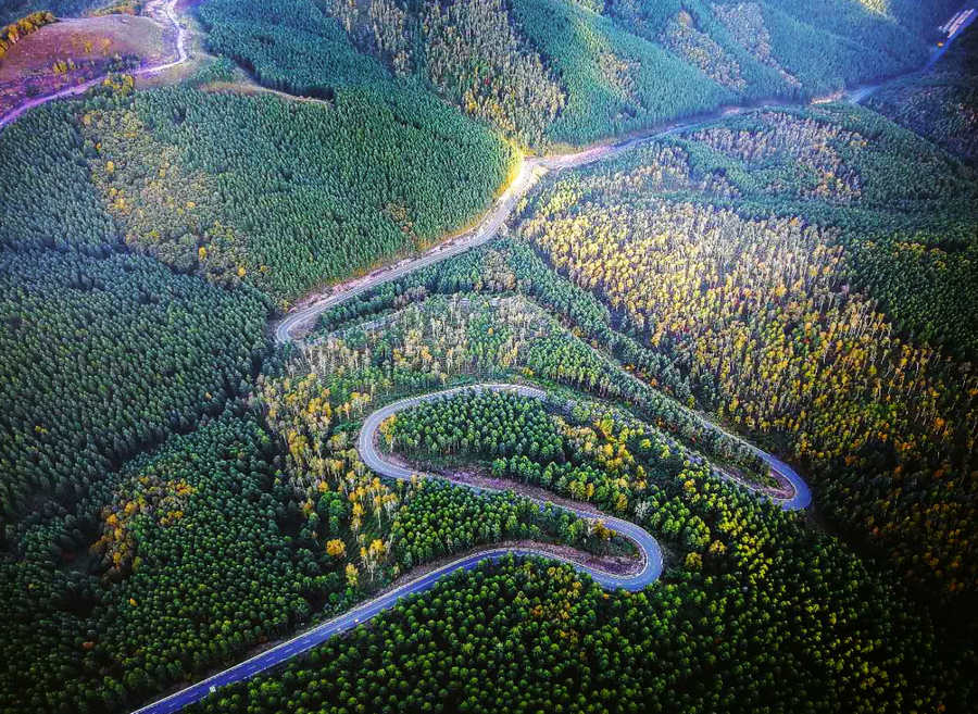 A scenic view of Saihanba National Forest Park