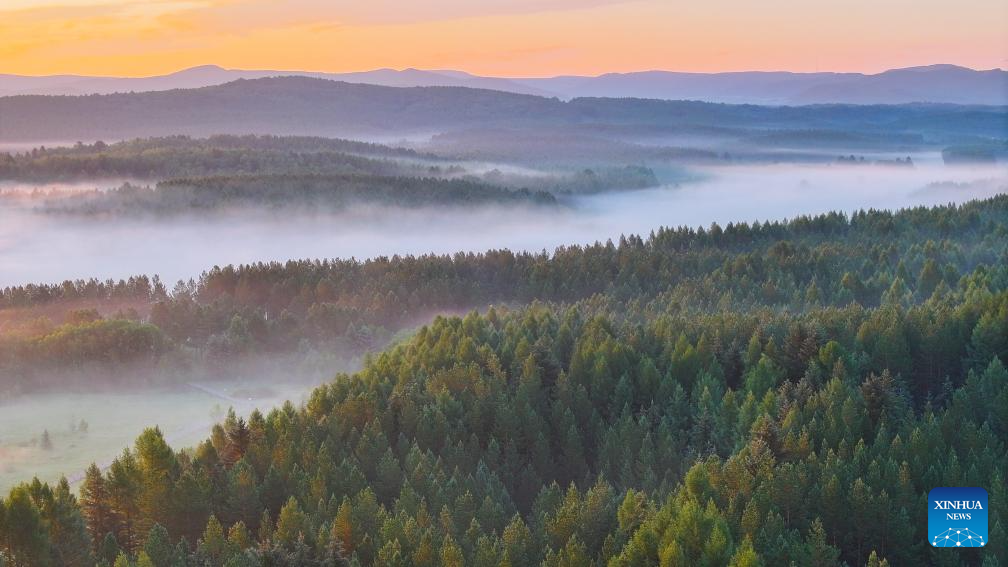 A scenic view of Saihanba National Forest Park