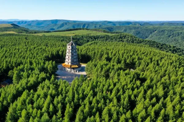 A scenic view of Saihanba National Forest Park