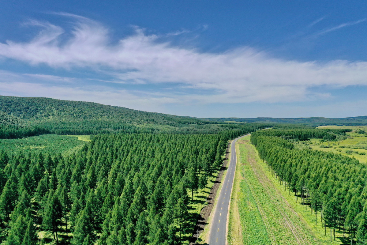 A scenic view of Saihanba National Forest Park