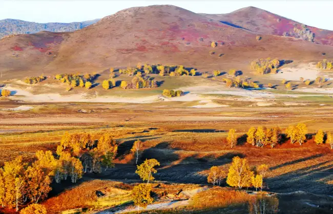 A scenic view of Saihanba National Forest Park