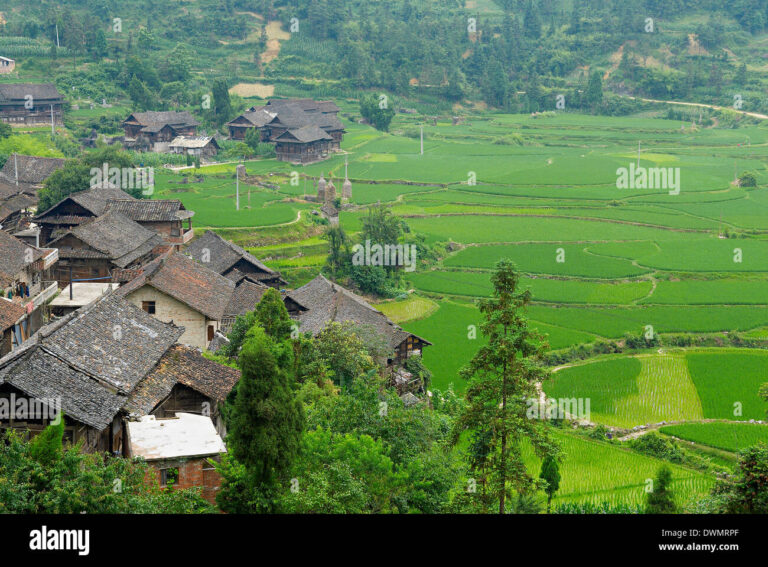 A Traveler’s Guide to Sandu Shui Ethnic Village: Heritage, Culture, and Nature