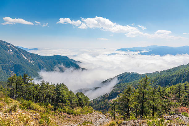 A scenic view of shajiabang yushan