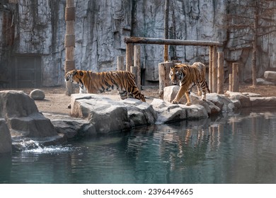 A scenic view of shanghai wildlife park