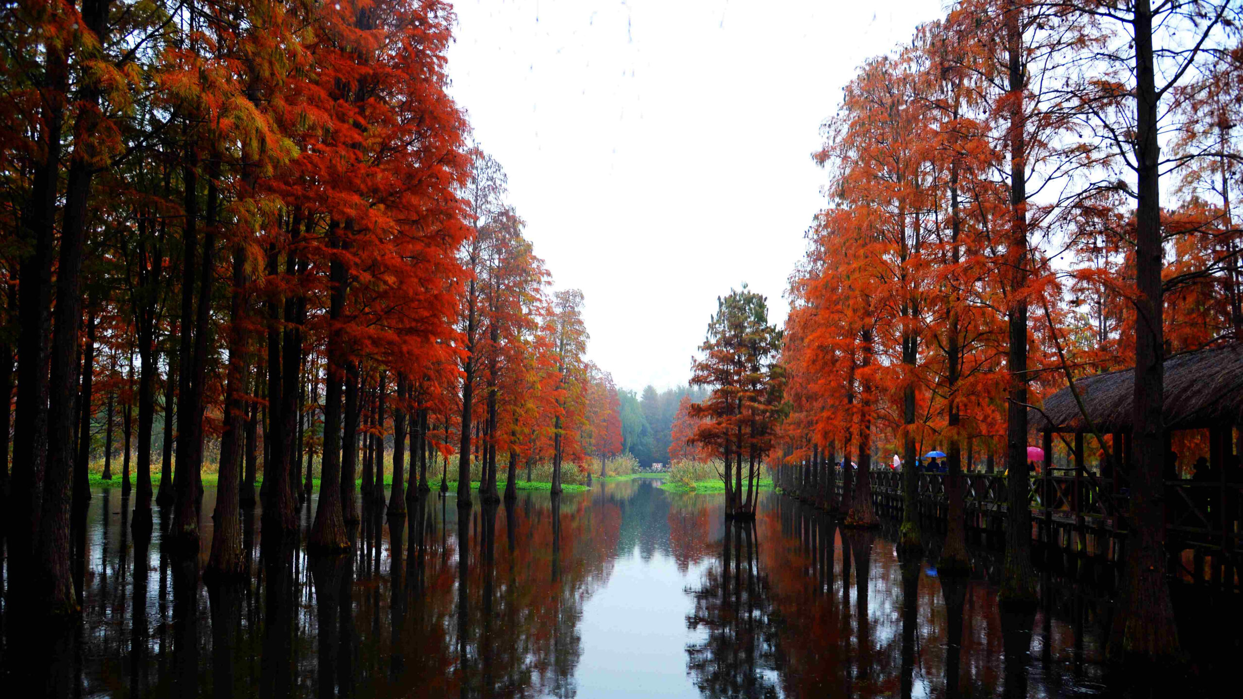 A scenic view of shanghai wildlife park