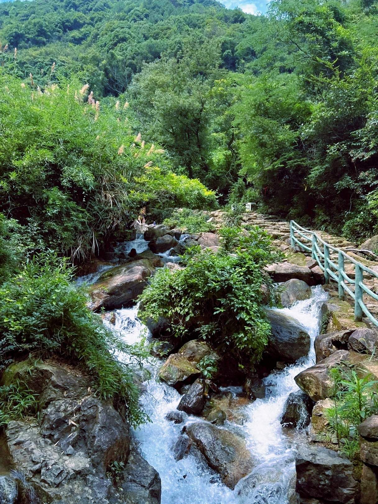 A scenic view of shanglin lake yue kiln sites