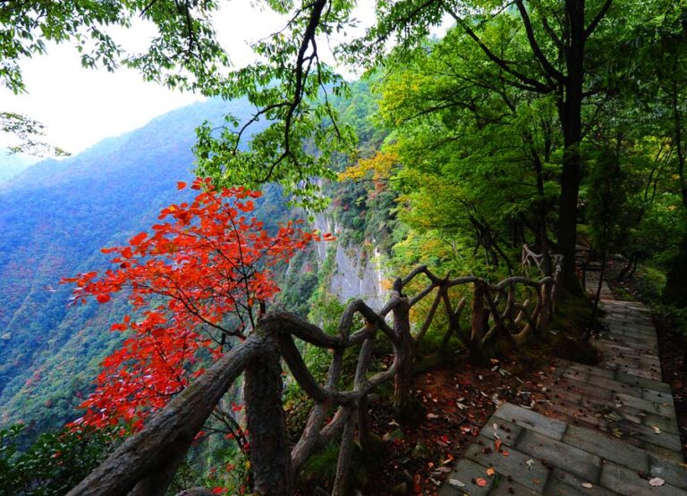 Unraveling the Mysteries of Shangnan Jinsi Grand Canyon: A Historical Perspective