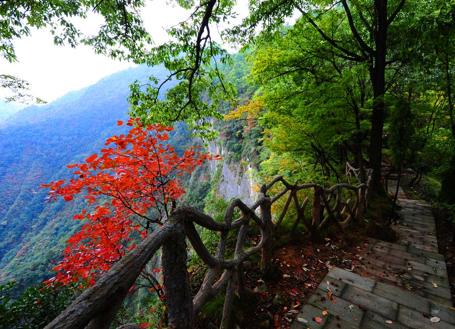 Unraveling the Mysteries of Shangnan Jinsi Grand Canyon: A Historical Perspective
