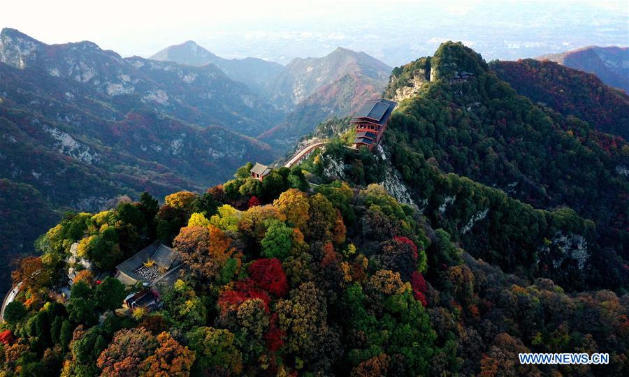 A scenic view of shaoqibai_mausoleum