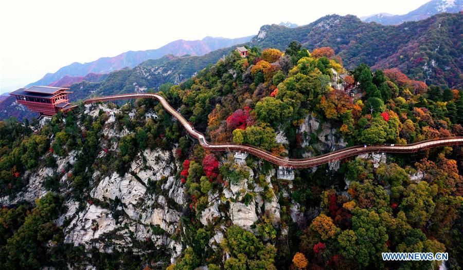 A scenic view of shaoqibai_mausoleum