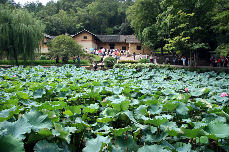 A scenic view of Shaoshan