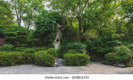 A scenic view of shen garden