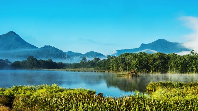 Discover the Mysteries of Shennongjia: A Journey Through Ancient Chinese Legends