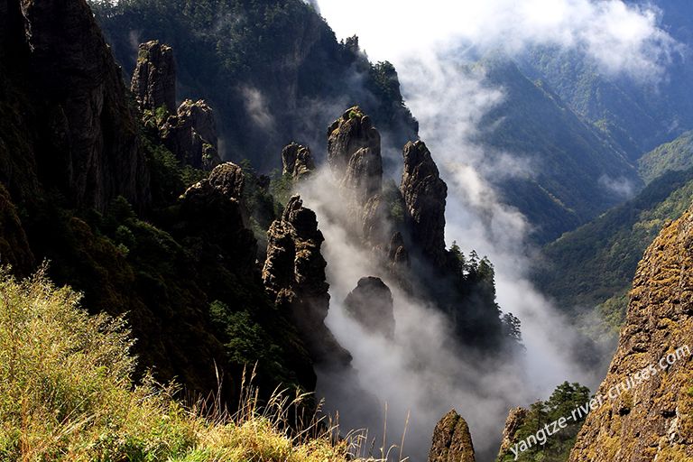 A scenic view of Shennongjia