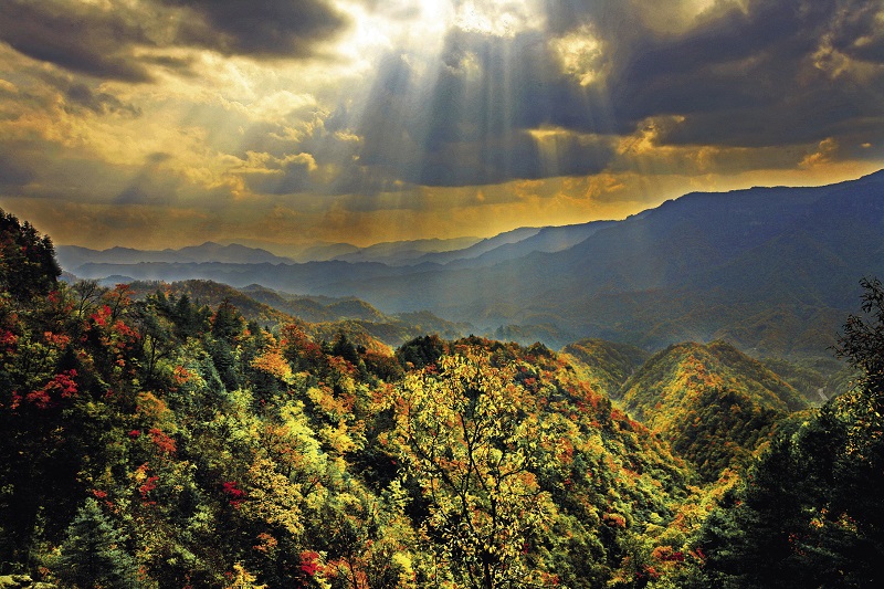 A scenic view of Shennongjia