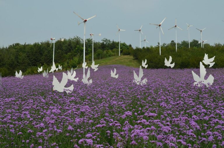 Experience the Seasons at Shenyang Botanical Garden: A Year-Round Destination