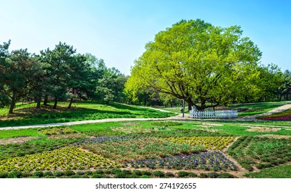 A scenic view of shenyang_botanical_garden