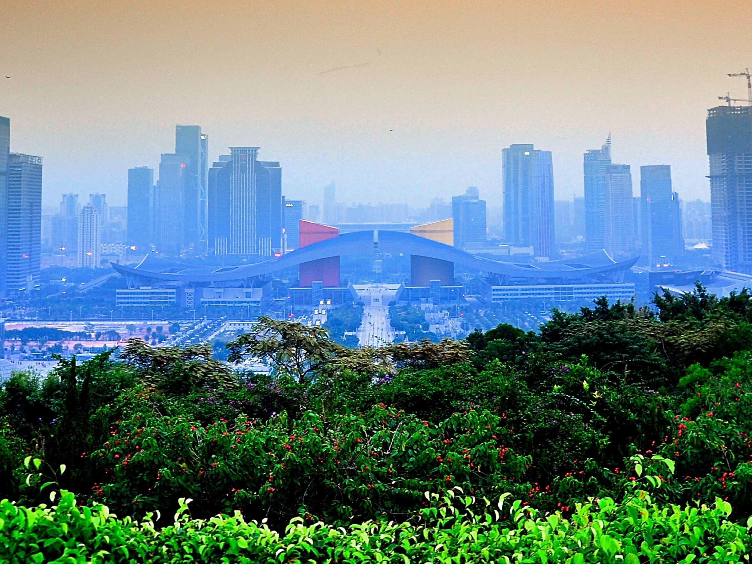 A scenic view of shenzhen lianhuashan park
